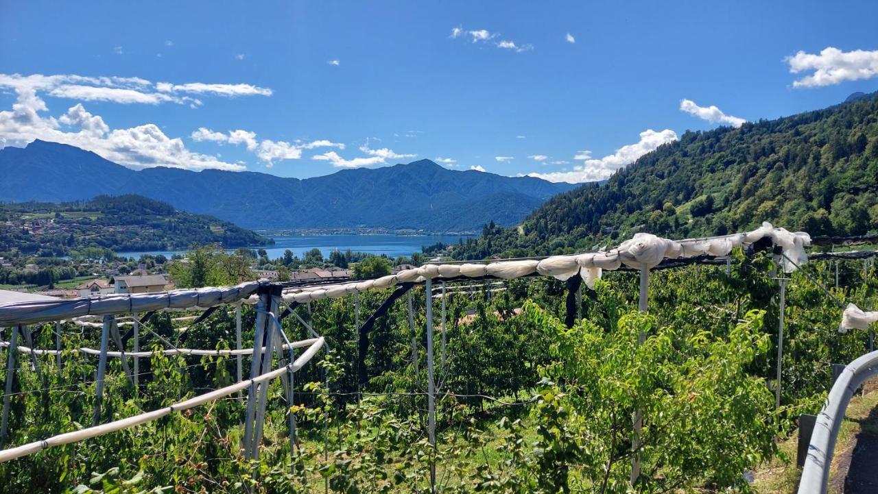 La Coccinella Di Susa Pergine Valsugana Buitenkant foto