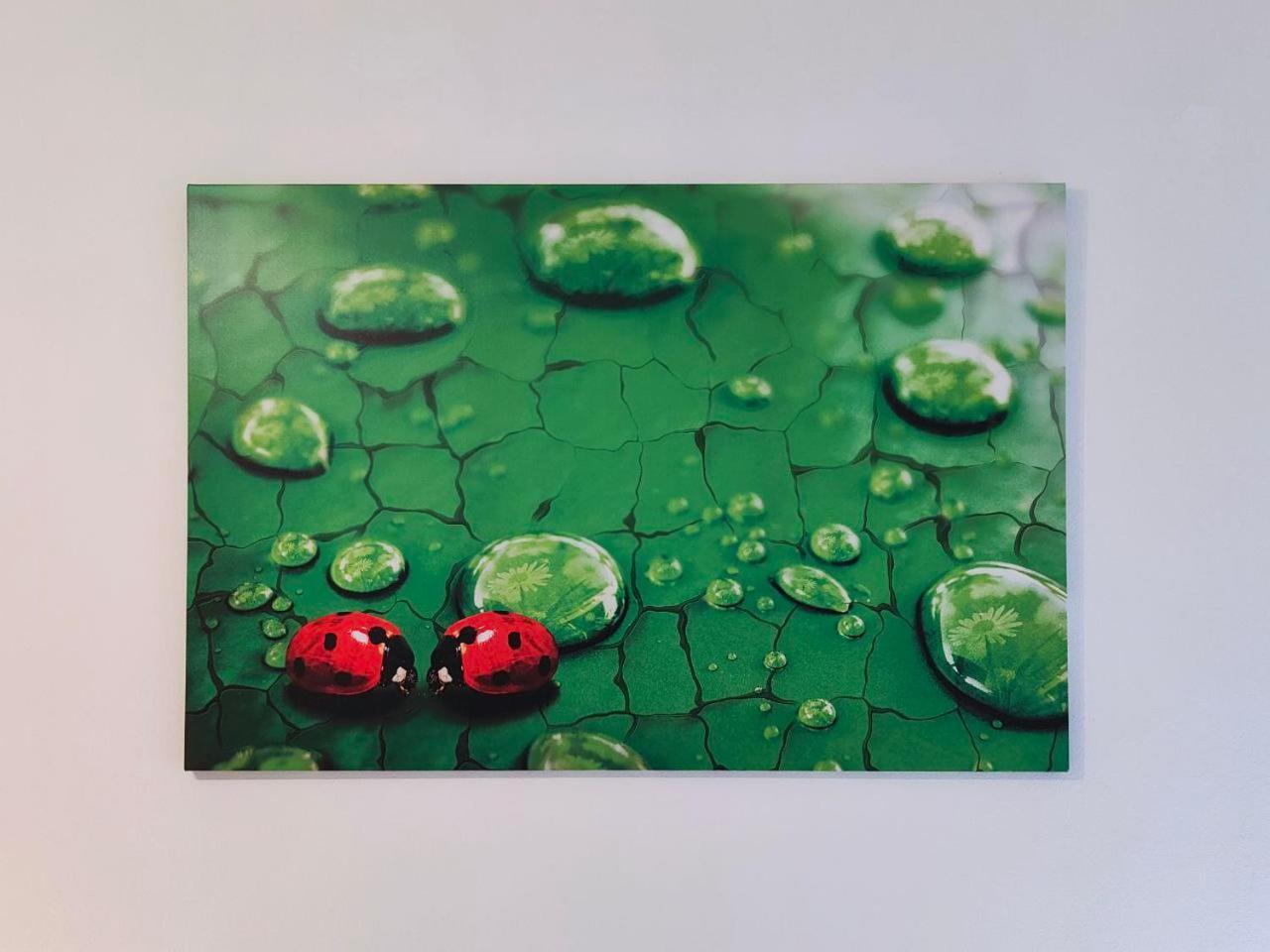 La Coccinella Di Susa Pergine Valsugana Buitenkant foto